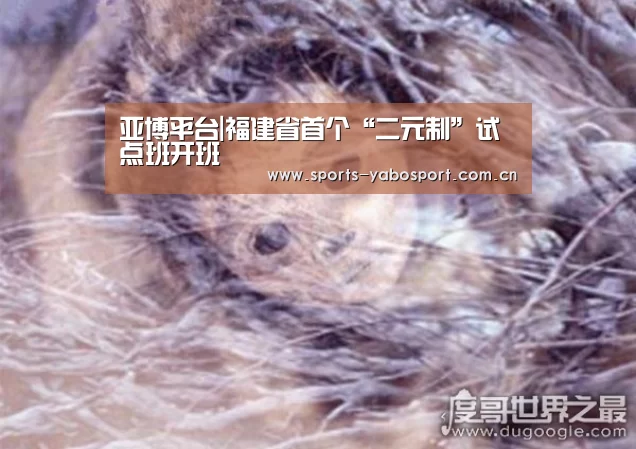亚博平台|福建省首个“二元制”试点班开班(图3) 亚博平台